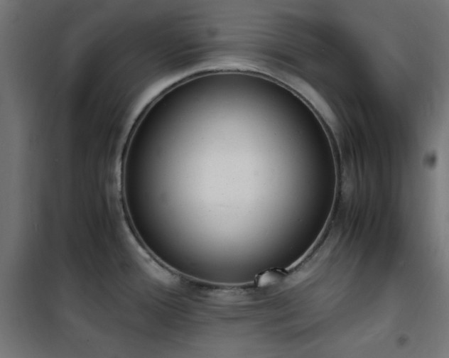 X0000101481388200807141404