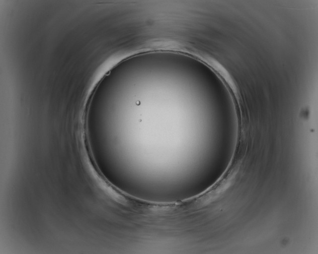 X0000101481389200807141404