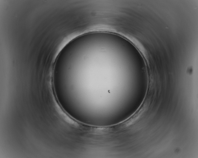 X0000101481390200807141404