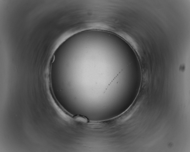 X0000101481391200807141404