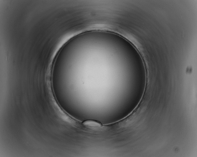X0000101481392200807141404