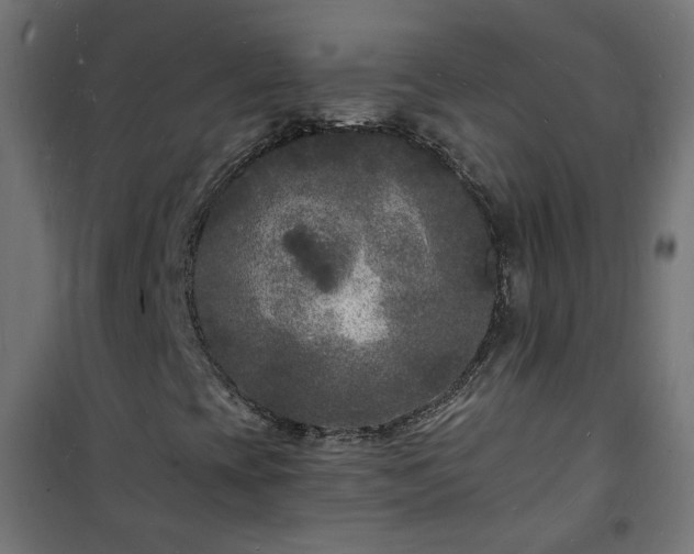 X0000101481393200807141404