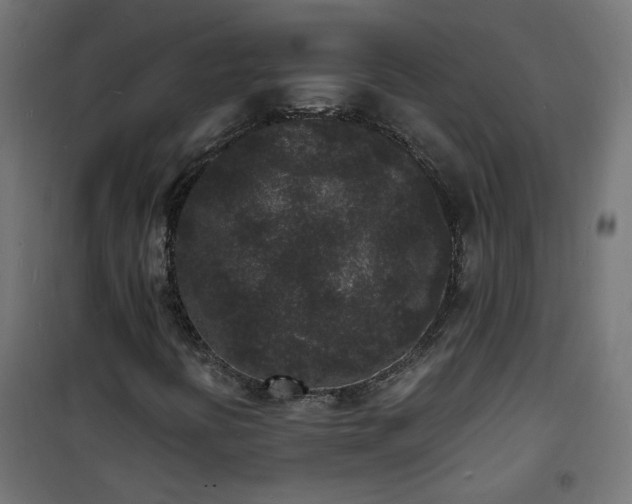 X0000101481394200807141404