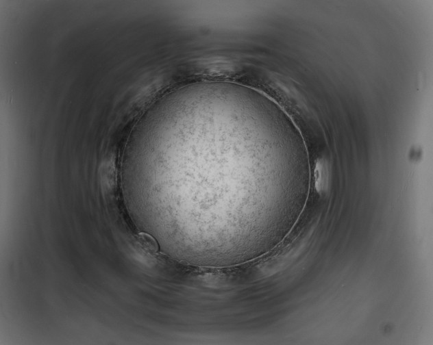 X0000101481395200807141404