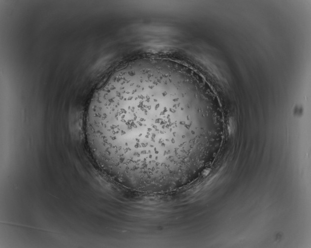 X0000101481396200807141404