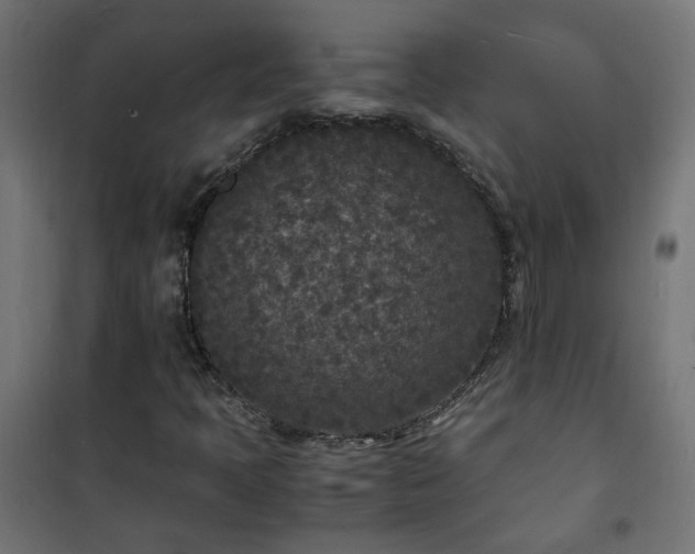 X0000101481397200807141404