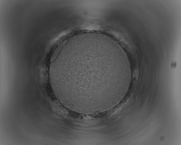 X0000101481398200807141404