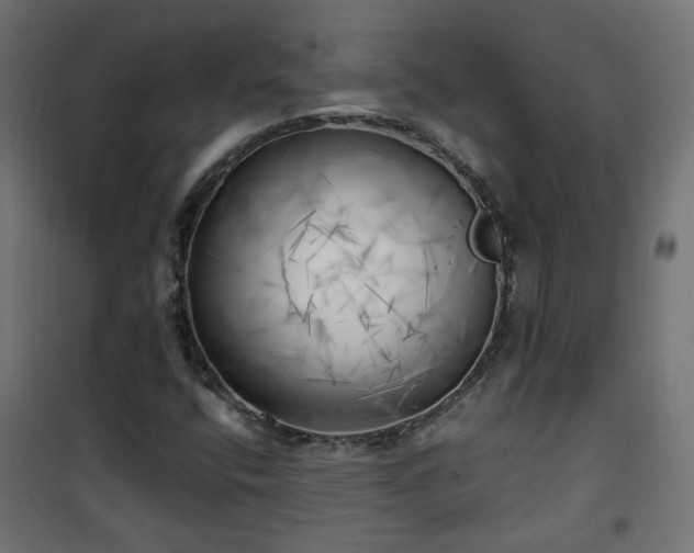X0000101481400200807141404