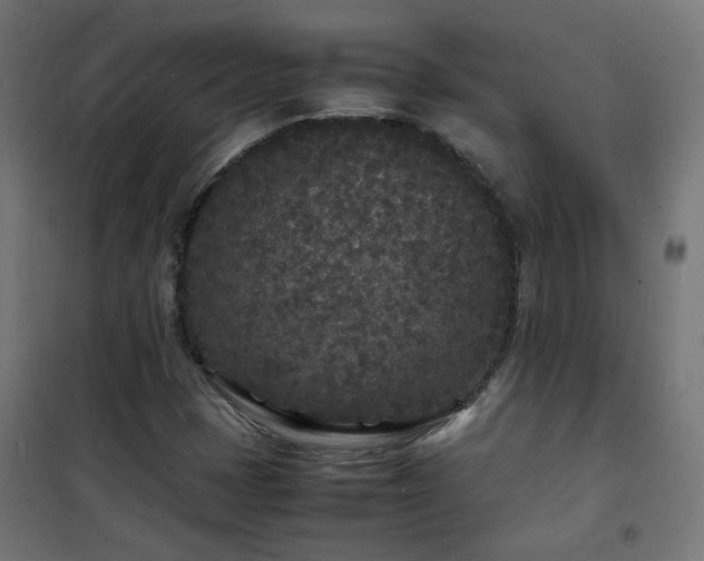 X0000101481401200807141404
