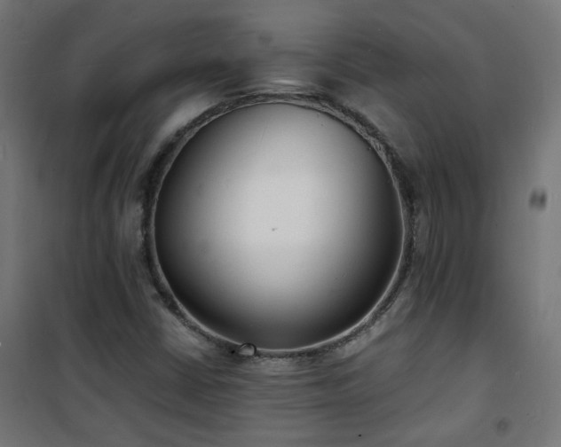X0000101481402200807141404