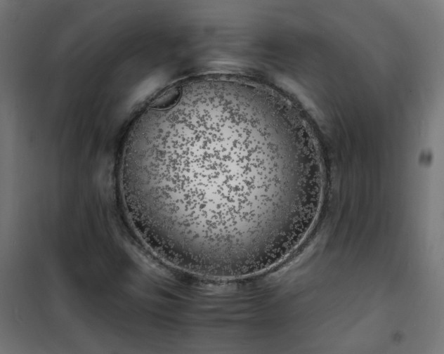 X0000101481403200807141404