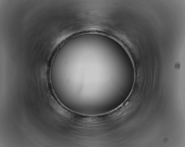 X0000101481404200807141404