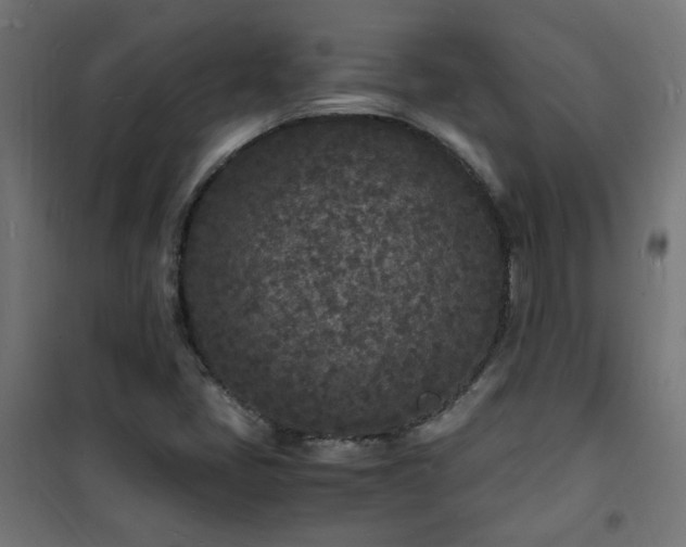 X0000101481405200807141404