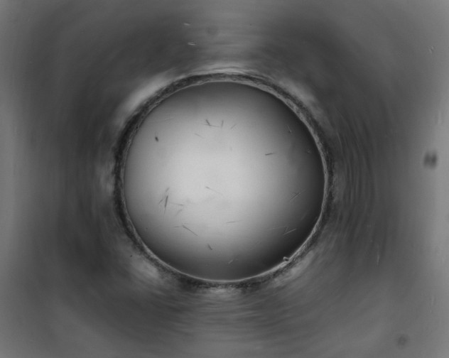 X0000101481406200807141404