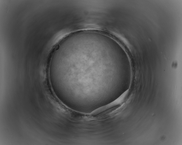 X0000101481407200807141404