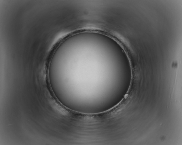 X0000101481408200807141404