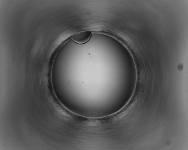 X0000101481410200807141404