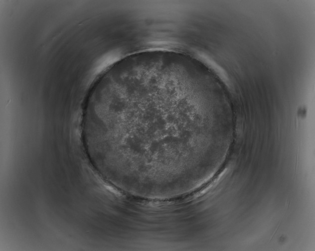 X0000101481411200807141404