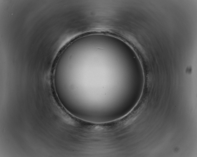 X0000101481412200807141404