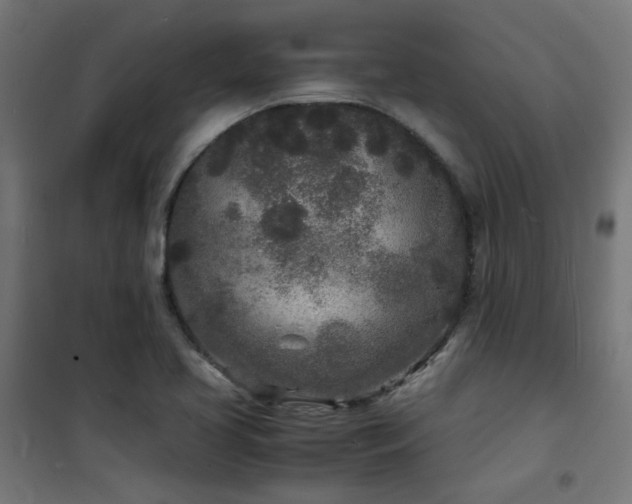 X0000101481413200807141404