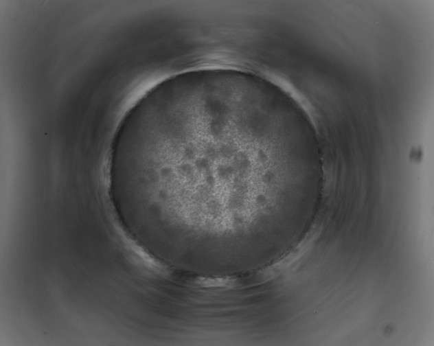 X0000101481415200807141404