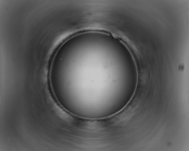X0000101481416200807141404