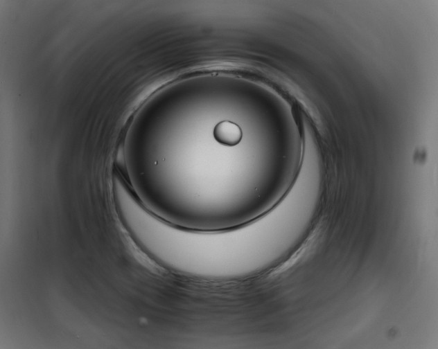X0000101481417200807141404