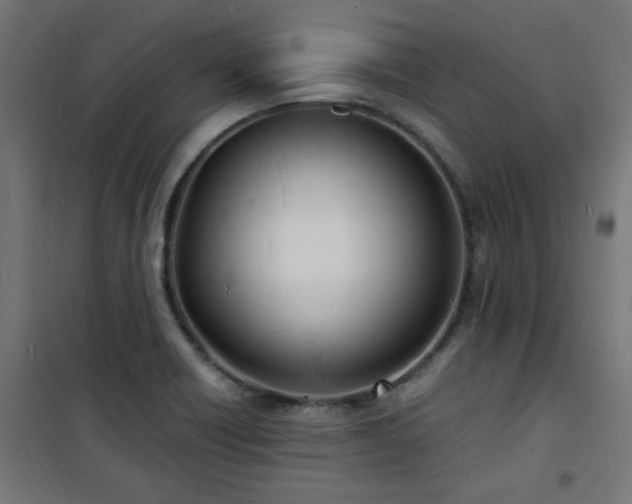 X0000101481418200807141404