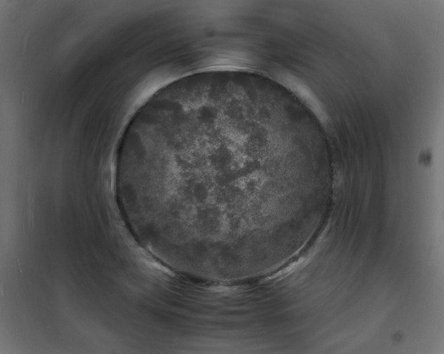 X0000101481419200807141404