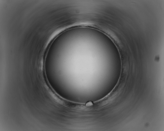 X0000101481420200807141404