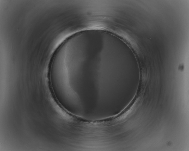 X0000101481422200807141404