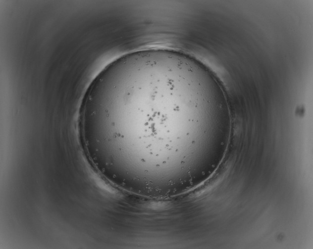 X0000101481423200807141404