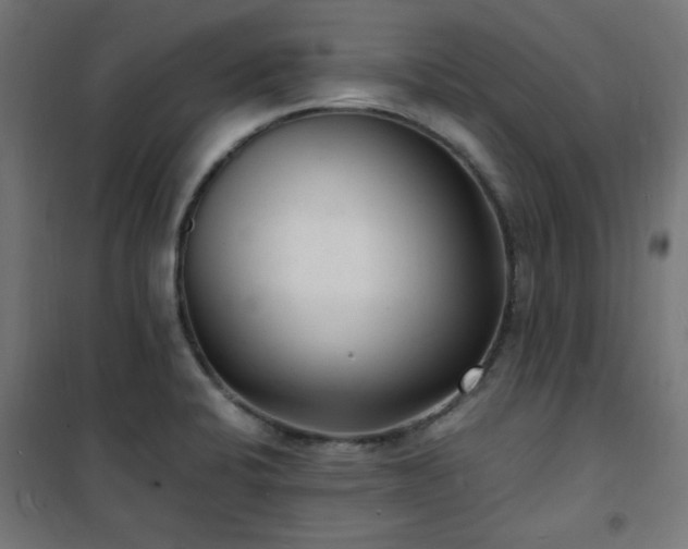 X0000101481424200807141404