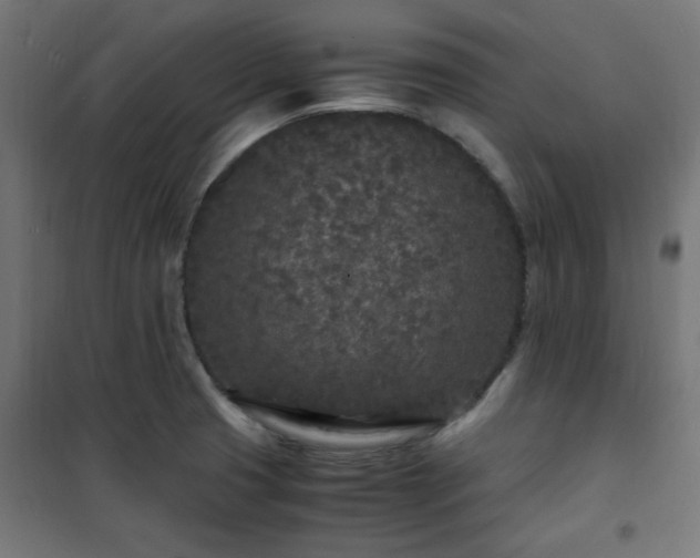 X0000101481425200807141404