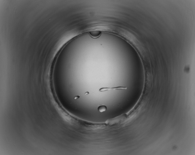 X0000101481426200807141404