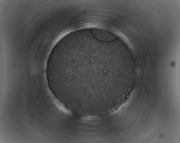X0000101481427200807141404