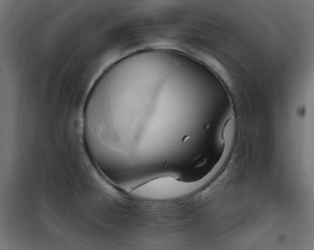 X0000101481428200807141404