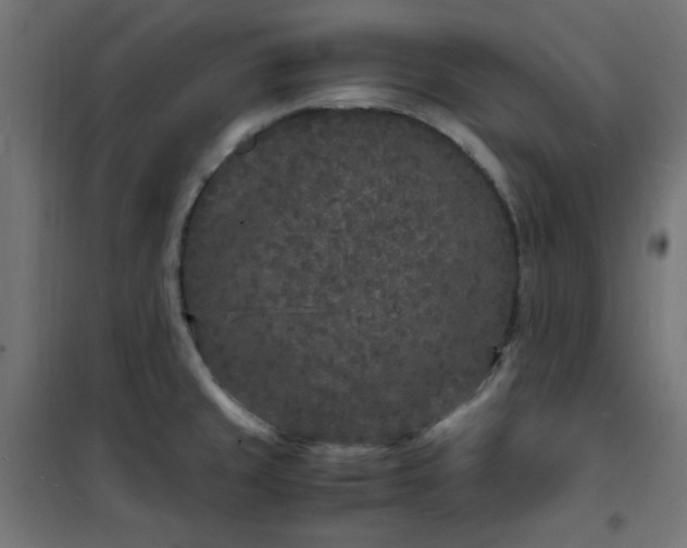 X0000101481429200807141404