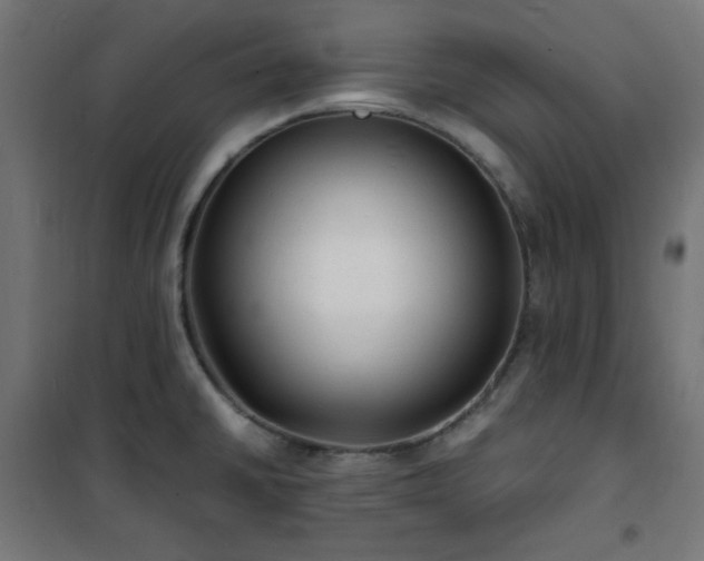 X0000101481430200807141404