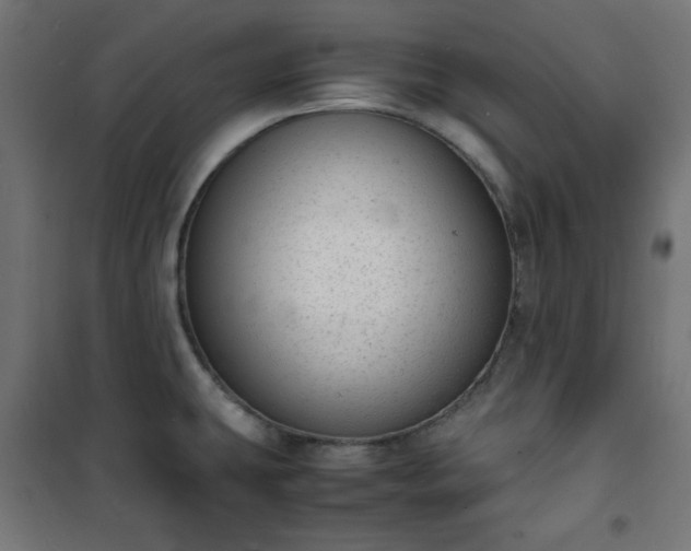 X0000101481431200807141404