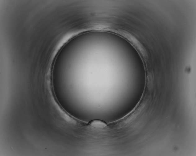 X0000101481432200807141404