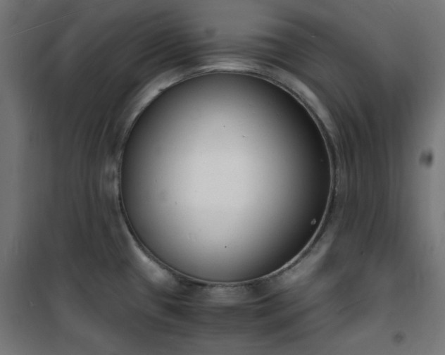 X0000101481433200807141404