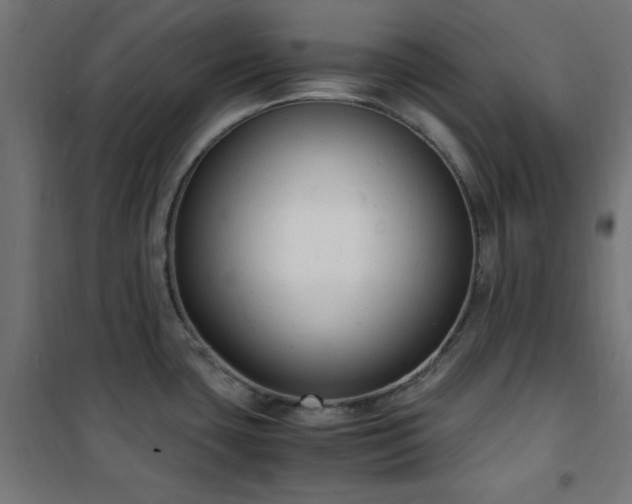 X0000101481435200807141404
