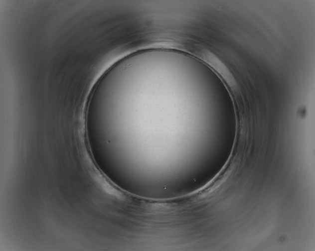 X0000101481436200807141404
