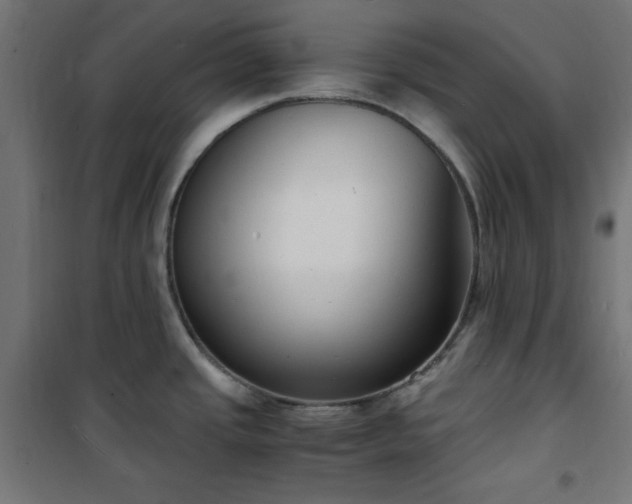 X0000101481437200807141404
