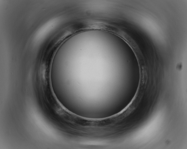 X0000101481438200807141404