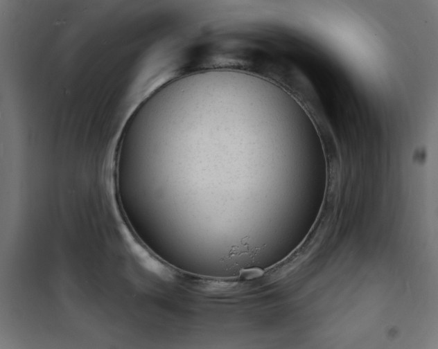 X0000101481439200807141404