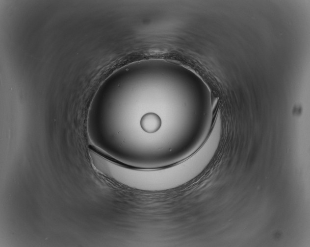 X0000101481441200807141404