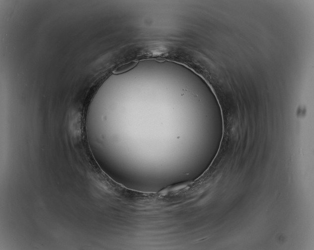 X0000101481442200807141404