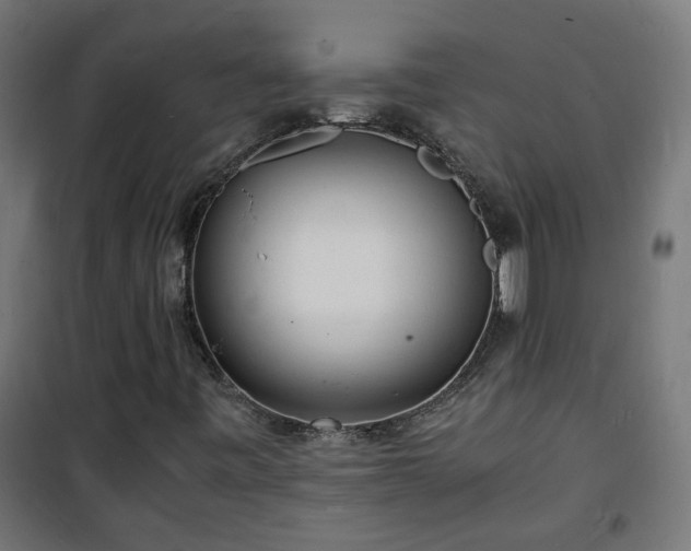 X0000101481443200807141404